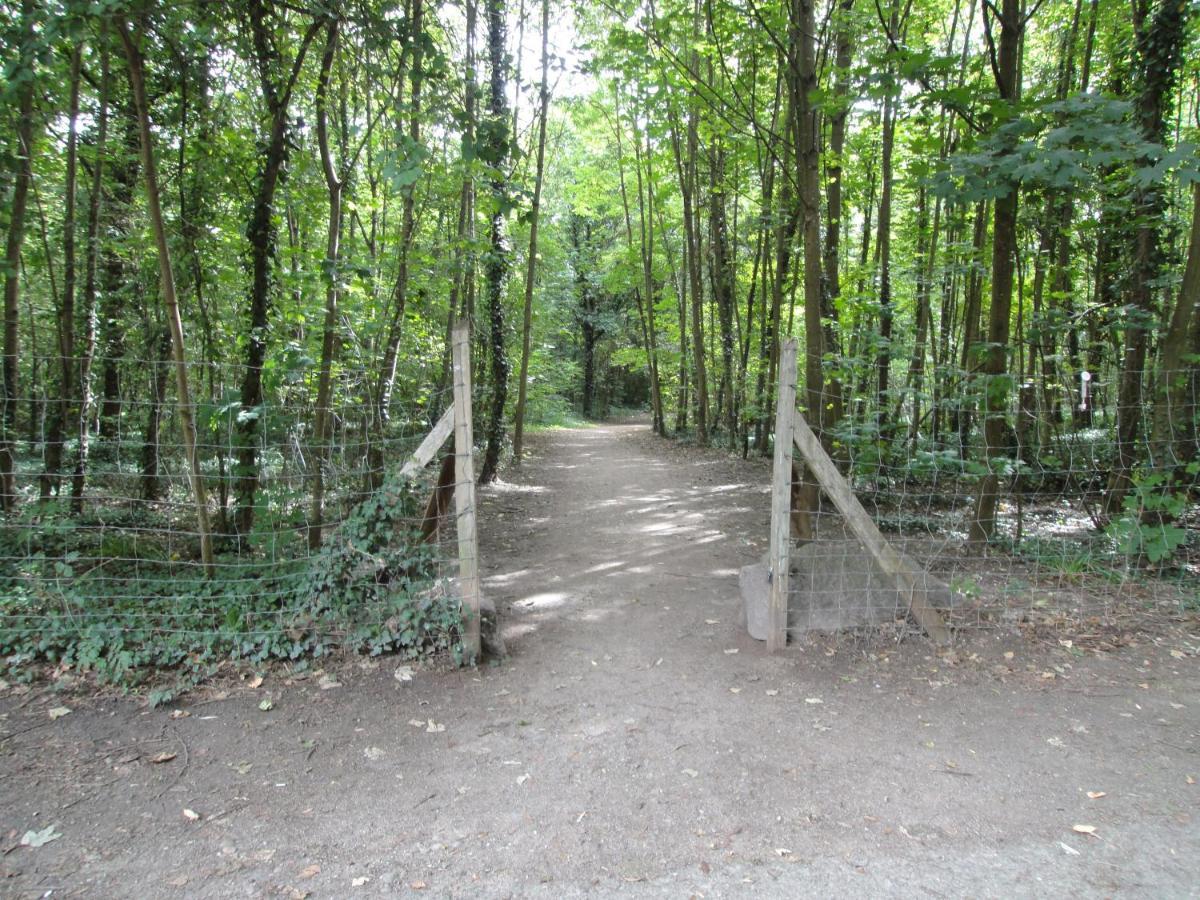דירות שטרסבורג Kosly Garden Robertsau מראה חיצוני תמונה
