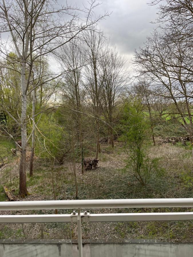 דירות שטרסבורג Kosly Garden Robertsau מראה חיצוני תמונה
